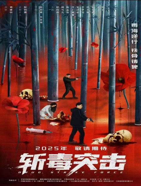 影视作品