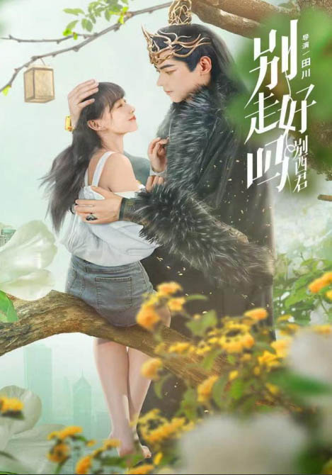 影视作品